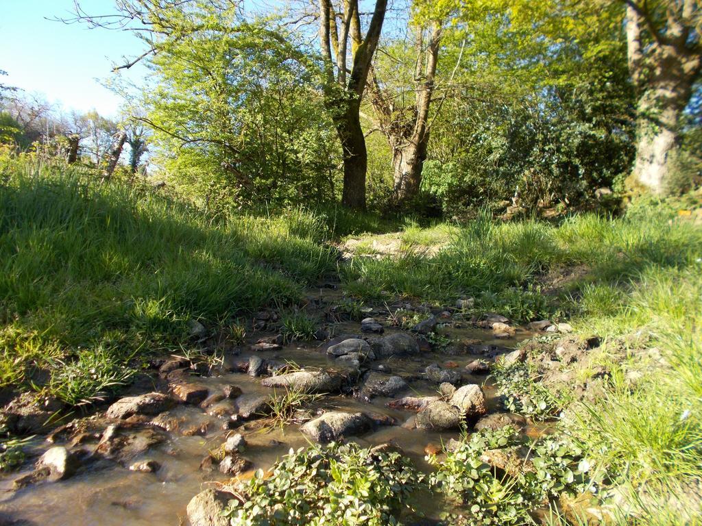 Terre Et Eau Gite Sevremont La Flocelliere Bagian luar foto
